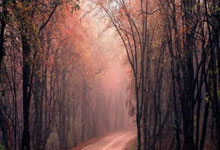 全球足球最新消息发布，球队备赛冲刺