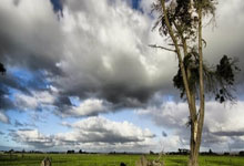 全球足球最新消息发布，球队备赛冲刺