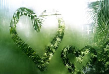 巴西女足获得胜利，晋级到半决赛