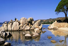 巴西女足获得胜利，晋级到半决赛