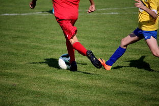 playace真人官网-五大联赛是否推动球员通过站位节奏学习适应战术切换，五大联赛地位  第2张